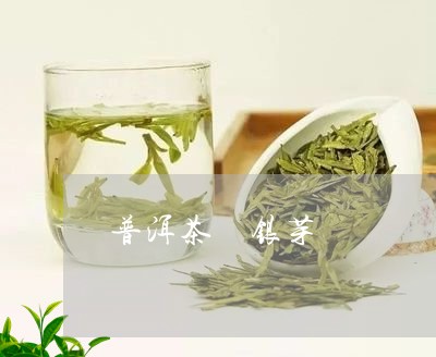 普洱茶 银芽/2023042798177